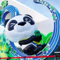 稳步推进！第四届进博会报名签约面积已超60%