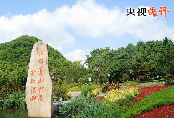 央视快评丨把碳达峰碳中和纳入生态文明建设整体布局