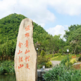 央视快评丨把碳达峰碳中和纳入生态文明建设整体布局