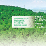 “十三五”期间，我国完成造林5.45亿亩 种下希望 种出未来