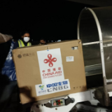 中国新冠疫苗运抵马尔代夫并举办交接仪式