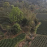 奋力谱写全面建设社会主义现代化国家福建篇章——习近平总书记在福建考察引起广大干部群众热烈反响