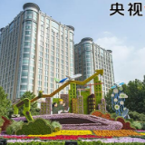 央视快评丨把高质量发展同满足人民美好生活需要紧密结合起来
