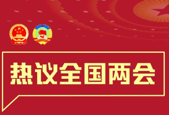 海报丨湖南代表团市州书记市长全国两会“好声音”亮了