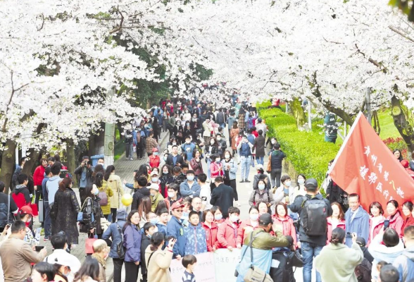 重磅长文——春回英雄城！