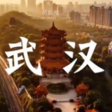 疫后重振看湖北丨@武汉