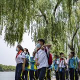 央视快评丨加强统筹规划、政策协调和工作落实，依法组织实施三孩生育政策