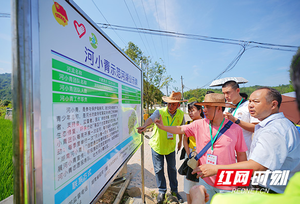 守护一江碧水：“湖南河小青·建功新征程”专家评审会暨培训班圆满结束