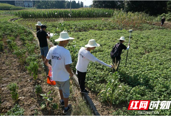 长沙理工大学交通青年发挥学科专业优势助力乡村振兴