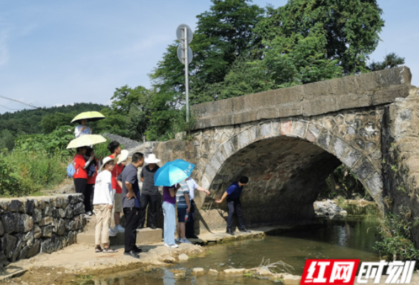 长沙理工大学“博士服务团”：聚焦坪山发展实际 科技助力乡村振兴