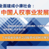 白皮书：全面建成小康社会消除绝对贫困实现基本生活水准权