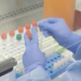 菲律宾学者发起网上请愿 呼吁世卫组织优先调查美国德特里克堡实验室