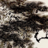画家童治军：墨染松涛风入骨 苍碧凌空自从容
