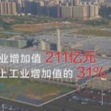 人民记忆：百年百城丨肇庆奔小康