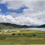 绿色金融主题采风行动丨走进香格里拉高山植物园 探寻生物多样性之美