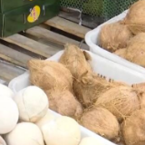 节前看消费 | 海南：特色水果椰子价格回落 消费者采购热情高