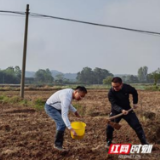 巩固成果·推动振兴｜湖南：精准监测、精确帮扶，筑牢规模返贫防线