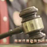 新时代推动法治进程2021年度十大案件正式发布