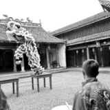 “就地”过春节，精彩不一样