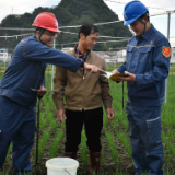 新春走基层丨用电小“神器”助力 葱农丰收乐呵呵