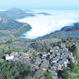 听，梯田上的“交响乐”