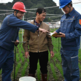 新春走基层丨用电小“神器”助力 葱农丰收乐呵呵