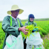 富了乡亲 美了乡村