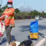 柯基变身“拖拉基”，每天随主人扫街