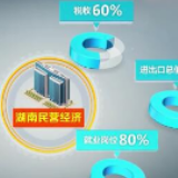 两会盘点丨湖南代表委员积极“供氧”，要帮这个群体渡过难关！