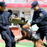 时刻知道丨中国人民警察节来了！为什么定在这一天？
