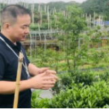 脱贫攻坚群英谱丨“三军”过后尽开颜——记平江县南江镇党委书记李三军