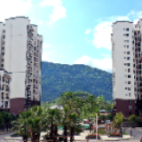 贵州道真：搬出深山幸福来