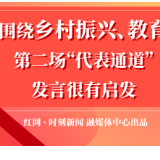 海报丨围绕乡村振兴、教育，第二场“代表通道”发言很有启发