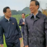 微海报丨许达哲：让湘西之美，美进老百姓的心窝里，美在黄金茶的茶香里