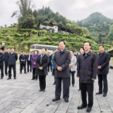 微海报丨第一站：湖南省委理论学习中心组抵达隘口黄金茶园