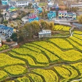 长沙今年重点打造800个五星级美丽宜居村庄