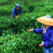 湖南表彰年度“十佳农民”
