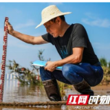 湖南有27站水位接近或低于历史最低水位