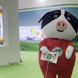 农博时刻丨“宁乡人不仅会读书，更会喂猪”