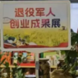 邵阳：让退役军人就业“饭碗”端得更稳