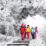 春雪亦如画