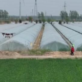劳动最光荣 奋斗最幸福 | 女飞手李新玲：做新时代的“新农人”