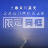 100秒！上半年这些同框好治愈