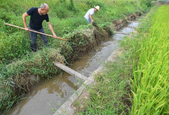 新华社丨湖南湘潭：送水到田间