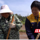 人民的代表丨彭水平：心怀沃野  为“三农”事业发声代言