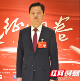 两会好声音丨胡果雄：支持衡阳加快打造全国领先的新能源汽车产业集群