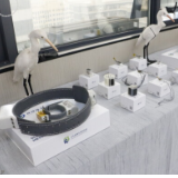 湖南建立全国自主管控最大野生动物卫星监测大数据中心——卫星追寻野生动物的脚步