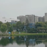 这里有意思丨邂逅湖光山色，来一场慢时光里的艺术之旅