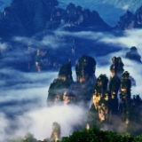 湖南全面建立森林防火举报奖励机制 覆盖率达100%