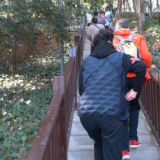 长沙马王堆汉墓墓坑遗址重新开放，外地游客是主流